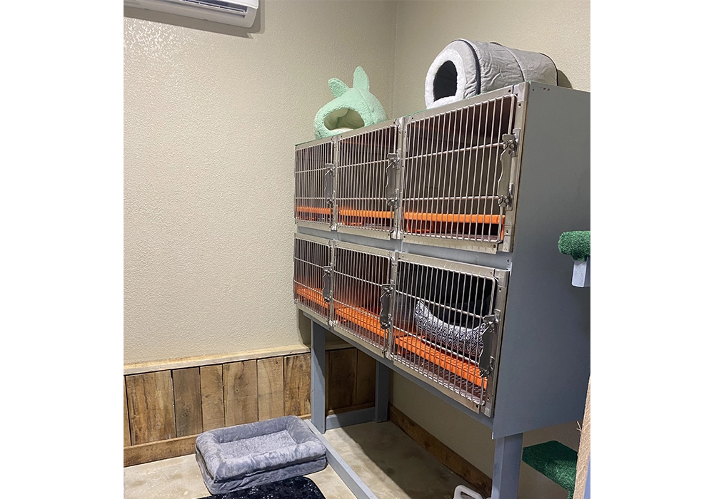 Our cat kennels are in a separate, quieter room.
